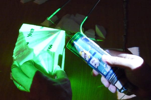 Augmented Foam Sculpting for Capturing 3D Models